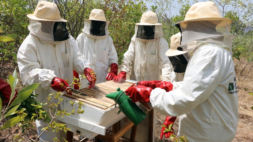 Au service des communautés locales et des écosystèmes, le MOGED soutient l’apiculture écoresponsable en Guinée.